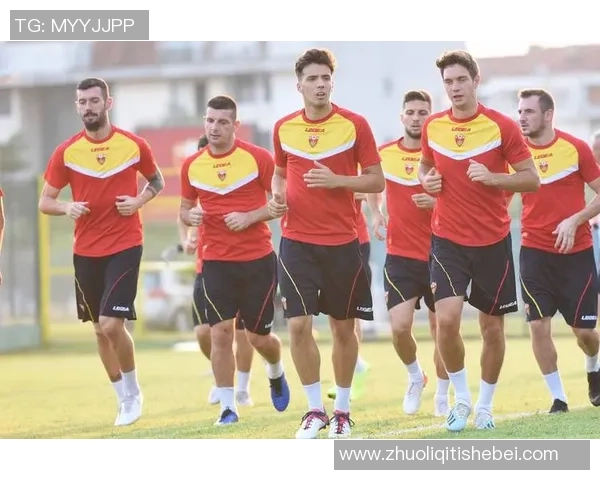 法罗群岛足球明星身价揭秘及其在国际足坛的影响力分析